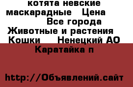 котята невские маскарадные › Цена ­ 18 000 - Все города Животные и растения » Кошки   . Ненецкий АО,Каратайка п.